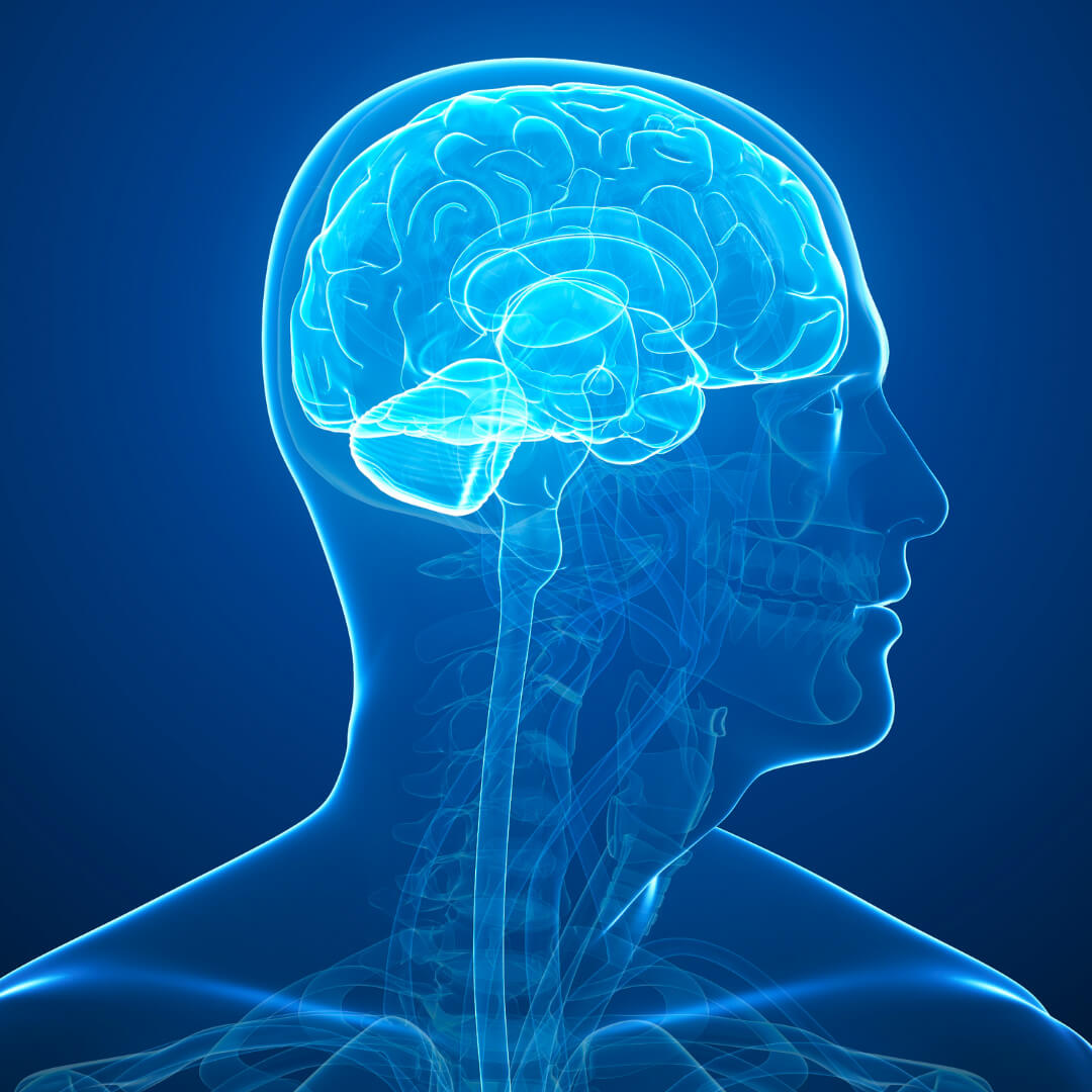 Brain Fog: Ursachen, Symptome & natürliche Hilfe